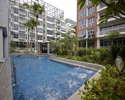 Woodhaven (D25), Condominium #638155571